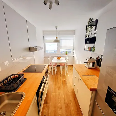 Sunflower Sky 리예카